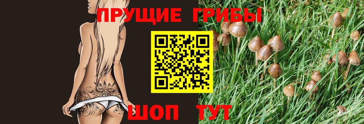Псилоцибиновые грибы Psilocybe  Галлюциногенные грибы мицелий  Вход с VPN  Унеча 